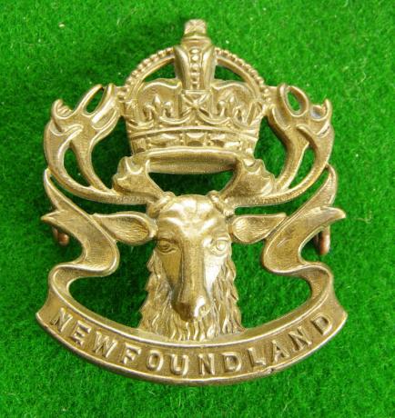 Royal Newfoundland Regiment.