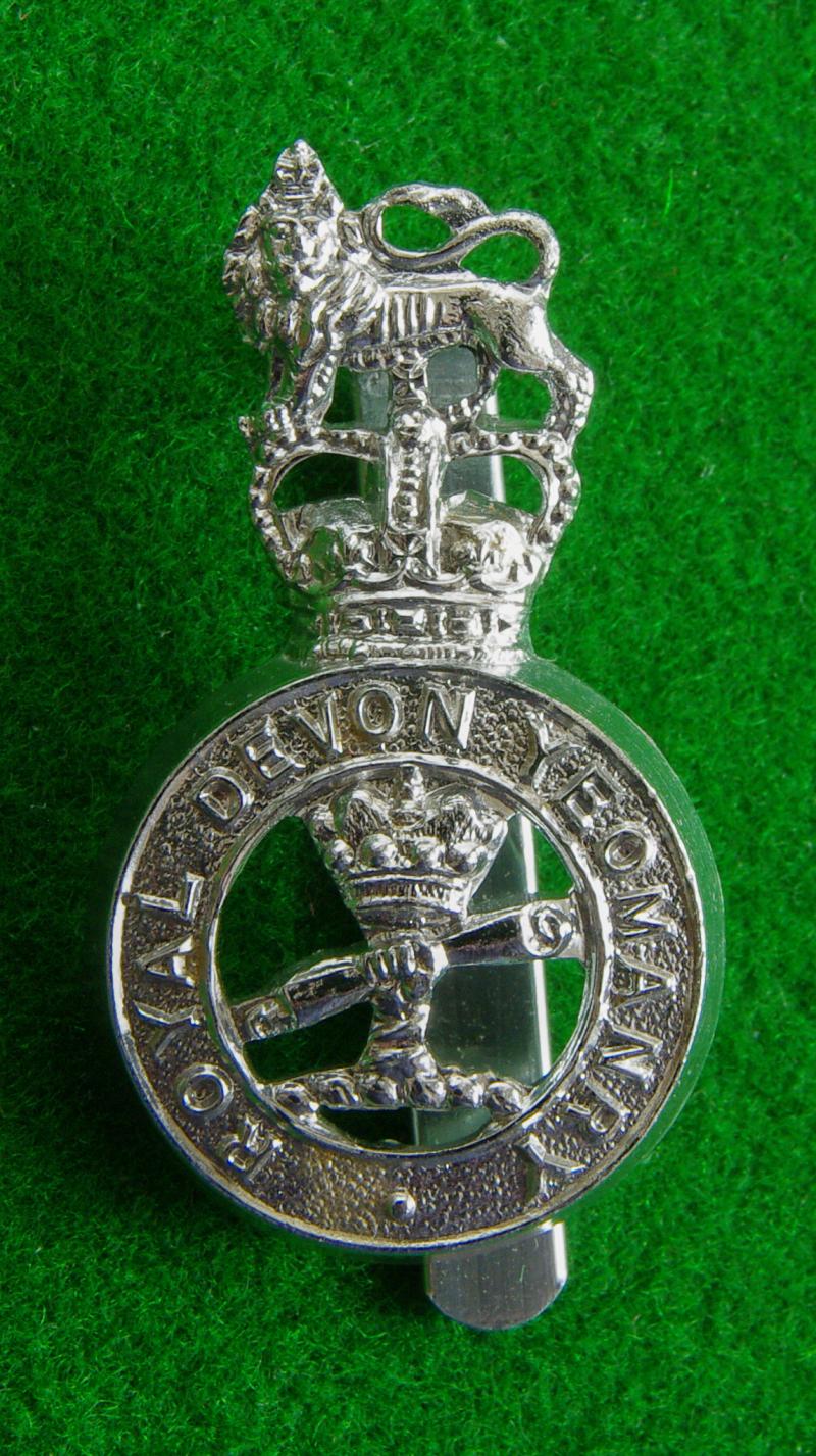 Royal Devon Yeomanry.