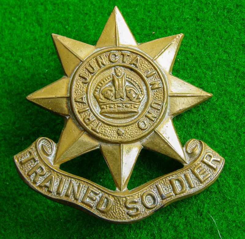 Trained Soldier Sleeve Badge.