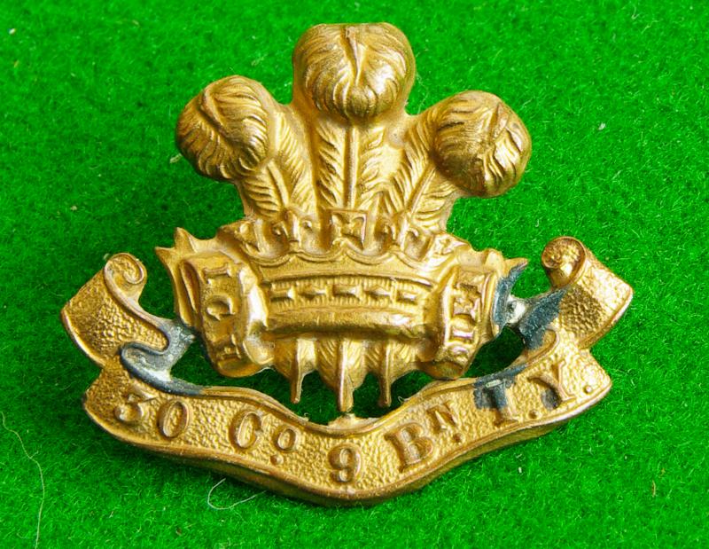 Pembrokeshire Imperial Yeomanry.