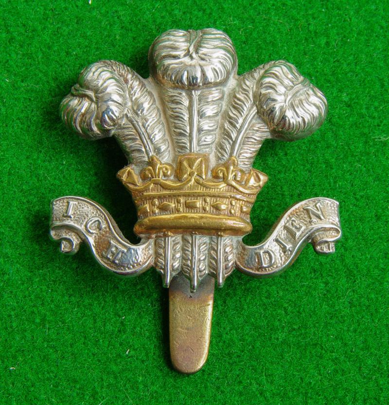 Royal Wiltshire Yeomanry. { Prince of Wales's Own.}