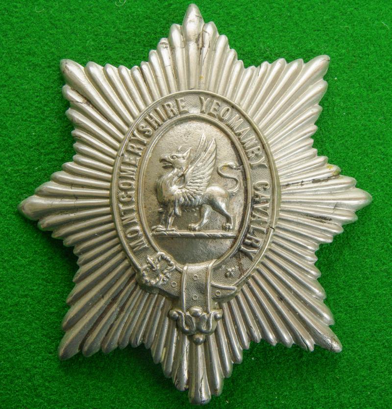 Montgomeryshire Yeomanry Cavalry.