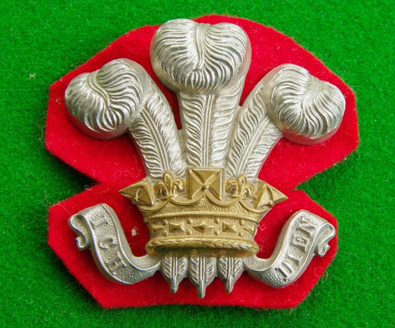 Royal Wiltshire Yeomanry.{Prince of Wales's Own}