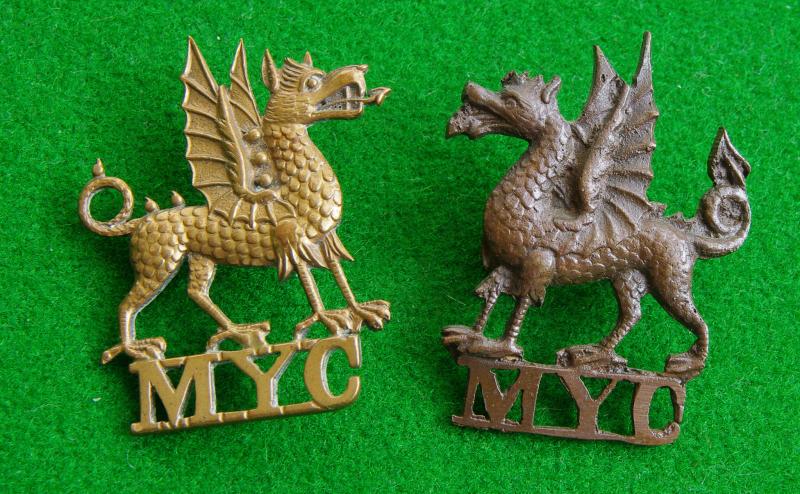 Montgomeryshire Yeomanry Cavalry.