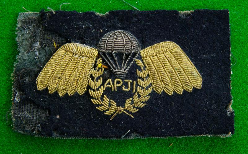 Assistant Parachute Jump Instructor.