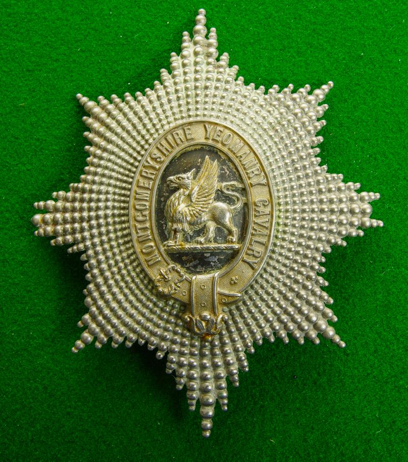 Montgomeryshire Yeomanry Cavalry.