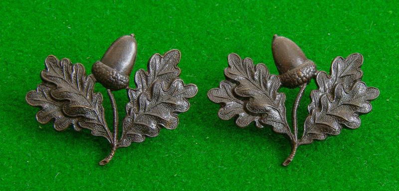 South Nottinghamshire Hussars.