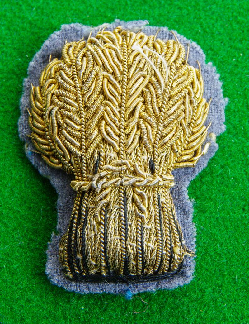 Lothian & Border Horse Yeomanry.